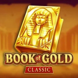 game logo by Playson on hypekasinocasino.de