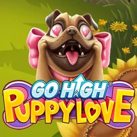 game logo by RubyPlay on hypekasinocasino.de